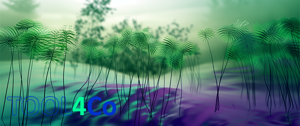 Tool4co_IDL